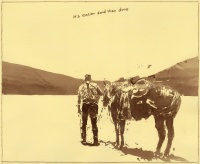 Visions West Gallery :: Bruce :: It's Easier Said Than Done