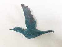 Visions West Gallery :: Bruce :: Bird 02