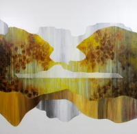 Visions West Gallery :: Bruce :: Aspen Symphonic Flow II