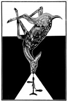 Visions West Gallery :: Bruce :: Drill Deer