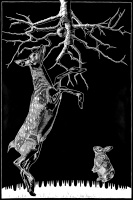 Visions West Gallery :: Bruce :: Edens Last Apple