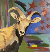 Visions West Gallery :: Bruce :: Bighorn Sheep
