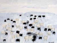 Visions West Gallery :: Bruce :: Angus and Smokies