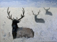 Visions West Gallery :: Bruce :: Winter Elk #3