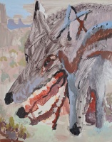 Visions West Gallery :: Bruce :: Coyote Laughing Directly at You