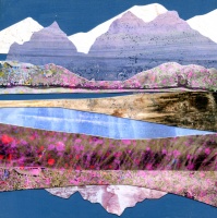 Visions West Gallery :: Bruce :: Rocky Mountain Wildflowers