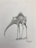 Visions West Gallery :: Bruce :: Weird Animal