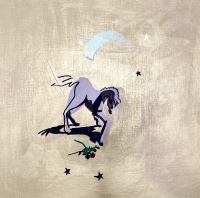 Visions West Gallery :: Bruce :: The stars own shadow