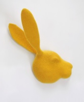 Visions West Gallery :: Bruce :: Yellow Floating Head