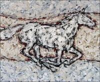 Visions West Gallery :: Bruce :: Wild Horse