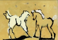 Visions West Gallery :: Bruce :: Playful and Restless