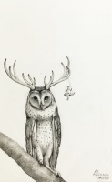 Visions West Gallery :: Bruce :: Owl with Horns