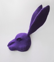 Visions West Gallery :: Bruce :: Floating Head