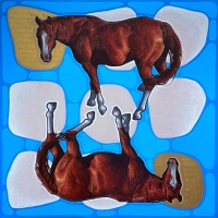 Visions West Gallery :: Bruce :: Doppelganger 