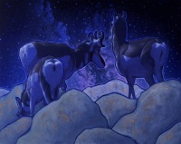 Visions West Gallery :: Bruce :: Universe Divide 