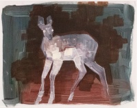 Visions West Gallery :: Bruce :: Fawn