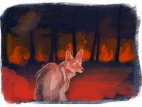 Visions West Gallery :: Bruce :: Sight