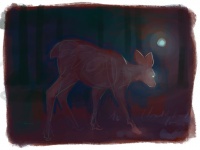 Visions West Gallery :: Bruce :: Wanderer