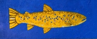 Visions West Gallery :: Bruce :: Big Creek Brown Trout