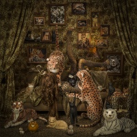 Visions West Gallery :: Bruce :: Cat Lady 